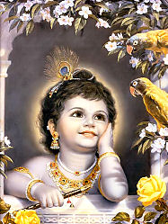 sweet Krishna beauty Krsna