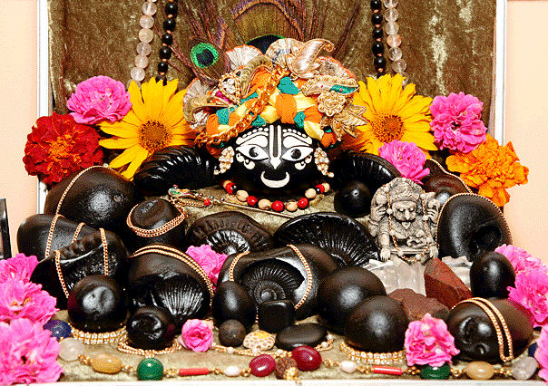 Worshipping the Śālagrāma-Śilā with Tulasī-leaves